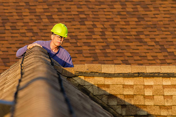 Roof Gutter Cleaning in Whitmire, SC